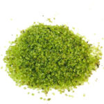 Olivin | Peridot Trommelsteine Ø ca. 2 – 5 mm Edelsteine Heilsteine bei Wunderstein24