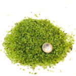 Olivin | Peridot Trommelsteine Ø ca. 2 – 5 mm Edelsteine Heilsteine bei Wunderstein24
