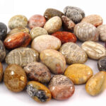 Versteinerte Koralle Trommelsteine handpoliert Ø ca. 30 – 40 mm Edelsteine Heilsteine bei Wunderstein24