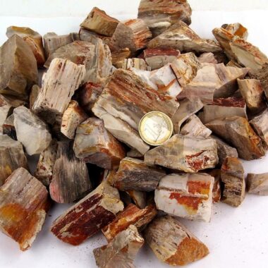 Versteinertes Holz Madagaskar Rohsteine Ø ca. 30 – 60 mm Edelsteine Heilsteine bei Wunderstein24