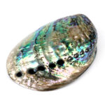 Abalone Schale poliert Ø ca. 125 mm Seeohr Perlmutt Haliotis Räucherschale Edelsteine Heilsteine bei Wunderstein24