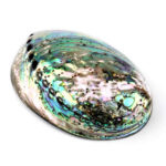 Abalone Schale poliert Ø ca. 119 mm Seeohr Perlmutt Haliotis Räucherschale Edelsteine Heilsteine bei Wunderstein24